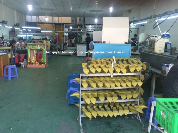 Xưởng giày vnxk tại Hà Nội và HCM